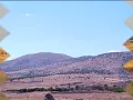 cekic ali -dogar yaz aylari