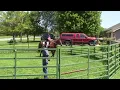 Evaluation of the Feather Light Wade by J C Martin Saddle Co with Smokie Brannaman