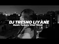 Download Lagu Dj Tresno Liyane x Raiso Ngapusi Viral Tiktok Sound Zein Fvnky