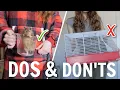 Hamster Dos Don ts