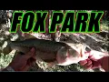 BASS FISHING AT FOX PARK - SAN ANTONIO