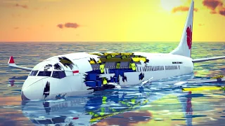 Airplane Crashes Into Water and Emergency Landings Besiege
