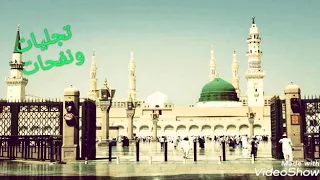 يا آل طه انتم سند لنا انتم السفينه امين الدشناوى 