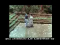 Rettai Kiligal Andradam - 1st Saranam - Lyrics - Ilayaraja Love WhatsApp Status
