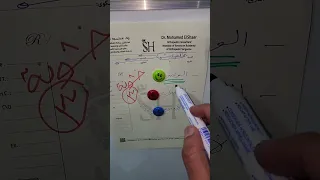 خشونة الركبة  د محمد الشاعر  اكسبلور  عظام  خشونة الركبة دندنها