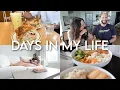 Download Lagu DAYS IN MY LIFE: chronic pain, exploring my city, healthy dinner at home, fashion experiment + MORE!