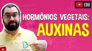 Auxinas (Hormônios Vegetais) - Fisiologia Vegetal - Aula 27: Botânica (Prof. Guilherme)
