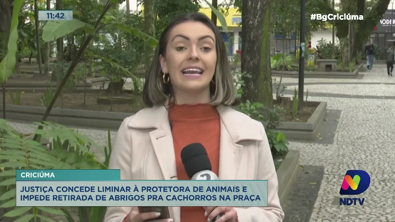 Justiça impede retirada de abrigos para cachorros em Criciúma