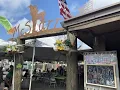 Dog-Friendly Restaurants Homes in Fairhope Alabama Best Pet-Friendly Spots