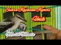 Download Lagu Suara burung kapasan kemiri