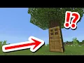 Download Lagu SECRET TREE HOUSE You will Never Find!