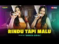 Download Lagu RINDU TAPI MALU - Shinta Gisul (Dangdut Koplo Version) | Aku Rindu Serindu Rindunya