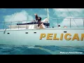Champagne Brunch Aqua Safari with Pelican Adventures Aruba