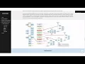 Birds Classification Using Deep Learning Methodologies