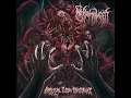 Download Lagu Necromonger - Abyssal Flesh Construct (Full Album)