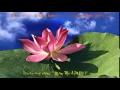 Download Lagu Nhạc Hòa Tấu Phật Giáo Hay Nhất