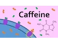 Download Lagu Caffeine and Adenosine Receptors