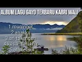 Download Lagu Album lagu Gayo terbaru kabri wali