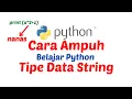 Belajar Python Pemula Type Data String di Python Cara python mengolah String Python Part 5