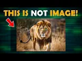 How to Hide Messages in Images Using Python Steganography Tutorial