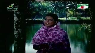 সোনালীর কাছে কী জানতে চায় সবুজ!