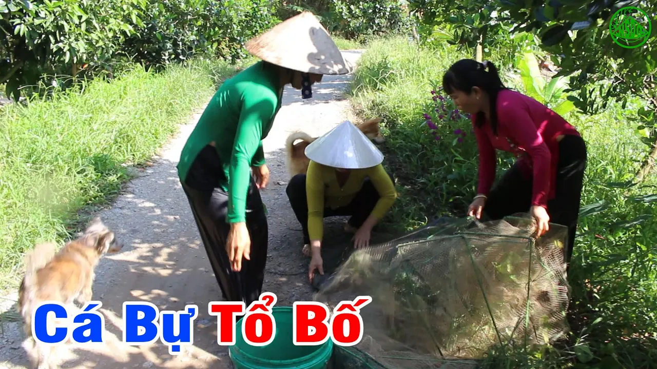 Một Ngày May Mắn Đặt Lú 12 Cửa Ngục Ngoài Sông Lớn Dính Được Cá Bự Tổ Bố