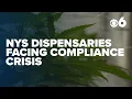 New York cannabis dispensaries face compliance crisis after state error