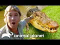 Steve s Favorite Crocs The Crocodile Hunter Animal Planet
