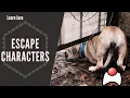 Escape Characters Learn Java Programming