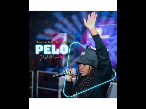 Download MP3 tittle :PELO song by shandesh feat black juize. ❤️ please  subscribe. ❤️