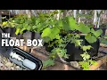 The Float Box Fabric Pot Hydroponic System