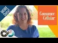 Consumer Cellular More Data Same Price AT T Smartphone Plans Senior Discounts