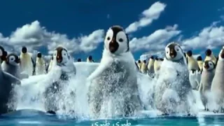 طيري طيري ياعصفورة 