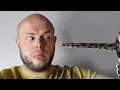 Download Lagu Czy mój wąż GRYZIE? - Nowe terrarium dla BOA!