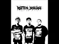 Rotten Disease-Born Stupid-Set To Kill Wormrot Cover