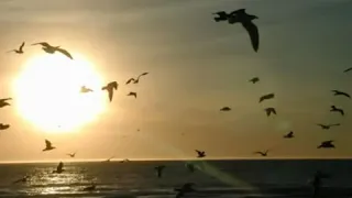 إبتهال دعاء الفجر نصر الدين طوبار رحمه الله 