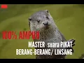 Download Lagu SUARA LINSANG.!!! Masternya pikat indukan