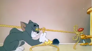 Tom And Jerry Mouse Trouble 1944 Clip 01 