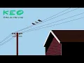 Keo - Bird On The Wire