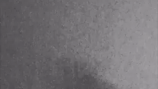 Shiloh Dynasty So Low Original 