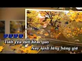 Download Lagu Tình Như Lá Bay Xa  JIMMY NGUYỄN Karaoke Remix |Tone Nam | Nhạc Sống | Anakaraoke | Showbiz |
