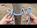 Download Lagu Ik ben onder de indruk van deze 3-type touwtruc! knoop richt zich