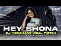 Download Lagu DJ INDIA HEY SHONA VIRAL TIKTOK || TERBARU 2025‼️JINGLE RGB AUDIO JEMBER FEAT DJ MINOR PRODUCTION