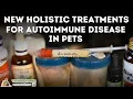 The De-wormer Ivermectin for Autoimmune Disease in Dogs and Cats