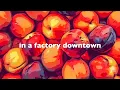 The Presidents of the United States of America - Peaches (Lyric Video)