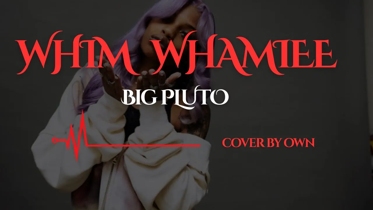 PLUTO WHIM WHAMIEE Remix ft Sexyy Red Cover by Own I Song I PLUTO WHIM WHAMIEE Remix ft Sexyy Red Cover by Own I Song I