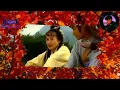 張學友《紅葉舞秋山》——1991年TVB劇集《出位江湖》（郭晉安、江欣燕）主題曲