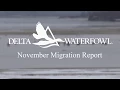 Delta Waterfowl November Migration Report