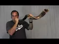 Download Lagu Kudu Horn