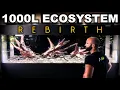 Download Lagu 1000L ECOSYSTEEM HERGEBOORTE: Een aquarium opnieuw geboren